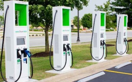 हरित ऊर्जा राज्य के लक्ष्य को हासिल करने के लिए सरकार प्रतिबद्धता से उठा रही प्रभावी कदम 