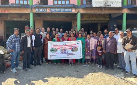 मंडी में एसएचईपी पद्धति के तहत एक दिवसीय बाजार सर्वेक्षण आयोजित