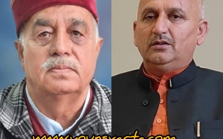 उद्योग मंत्री हर्षवर्धन चौहान के संरक्षण में शिलाई क्षेत्र में सैकड़ों हरे पेड़ किये धराशाहीभाजपा नेताओं ने लगाए आरोप 