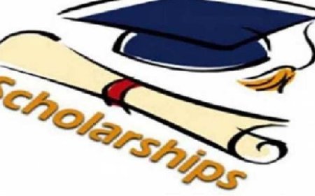 नेशनल मींस कम मेरिट स्कॉलरशिप परीक्षा का परिणाम घोषित,प्रदेश के 832 विद्यार्थियों का चयन 