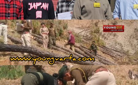 शिलाई में हुए अवैध पेड़ कटान मामले की हो उच्च स्तरीय जांच , एबीवीपी ने अरण्यपाल को सौंपा माँग पत्र 