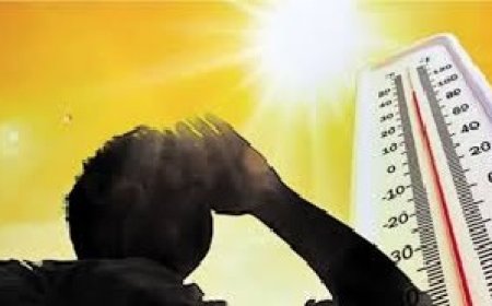 प्रदेश में तापमान में काफी बढ़ोतरी,सात जिलों में अधिकतम तापमान पहुंचा 30 डिग्री सेल्सियस से ऊपर  
