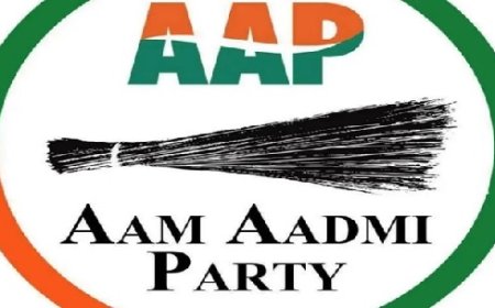 आम आदमी पार्टी ने हिमाचल के सभी विधानसभा क्षेत्रों में अध्यक्ष और संगठन महामंत्री किए नियुक्ति  