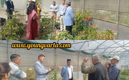 अचानक कृषि विज्ञान केन्द्र पहुंचे  बागवानी मंत्री , प्रशिक्षण प्राप्त कर रहे बागवानों से किया संवाद