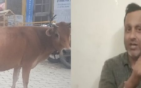 गौ माता को न्याय दिलाने के लिए हाईकोर्ट पहुंचे सतयुग तीर्थ रेणुकाजी के राजेंद्र सिंह