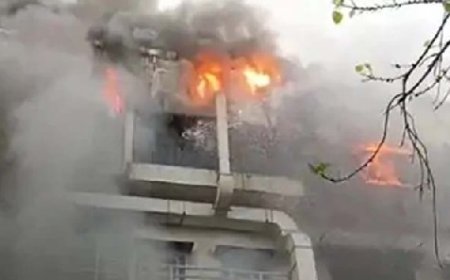 नोएडा में बिजली मीटर बनाने वाली कंपनी में भड़की आग, हादसे में करीब 24 कर्मचारी घायल