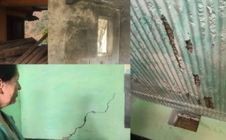 शिलाई विधानसभा क्षेत्र के अंतर्गत शिक्षा खंड रोनहाट के चार विद्यालयों के भवन का किया निरीक्षण  