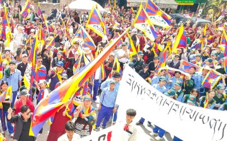 शिमला में तिब्बती विमेंस एसोसिएशन ने 67वें तिब्बती महिला राष्ट्रीय विद्रोह दिवस पर चीन की नीतियों के खिलाफ किया प्रदर्शन