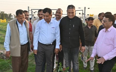 राज्य में बागवानी को नई दिशा दे रही एचपी शिवा परियोजना : जगत सिंह नेगी