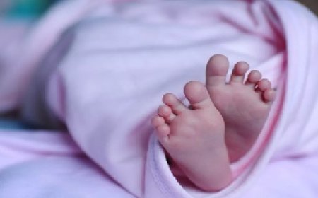 एचआरटीसी की चलती बस में एक गर्भवती महिला ने स्वस्थ बच्चे को दिया जन्म