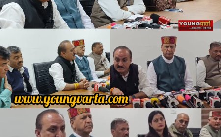 सिरमौर के शिलाई में 300 से अधिक पेड़ों का अवैध कटान , दोषियों को बचाने में लगी कांग्रेस सरकार : डॉ. राजीव बिंदल