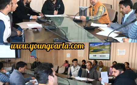 एफसीए मामलों के शीघ्र निपटाएं अधिकारी, अभी तक 30 प्रस्तावों को मिल चुकी है अंतिम स्वीकृति : डीसी 