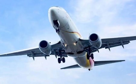 हवाई यात्रियों को बड़ी राहत : अब यात्रियों को फ्लाइट में एक साथ सीट देना अनिवार्य 