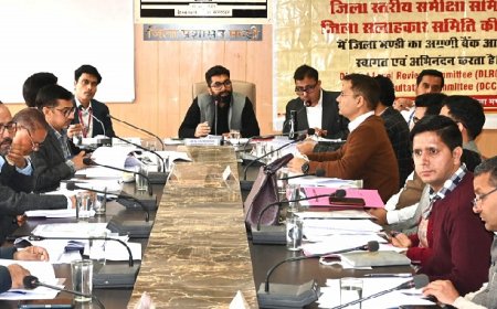 मंडी में आर्थिक विकास को गति प्रदान करने के लिए आपसी समन्वय से करें कार्य : गुरसिमर सिंह