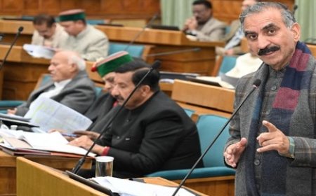 अगले छह महीनों में हिमाचल सभी प्राथमिक स्वास्थ्य केंद्रों को उपलब्ध करवाए जाएंगे डॉक्टर : सीएम 