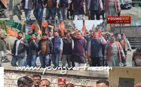 शिलाई अवैध पेड़ कटान के खिलाफ सड़कों पर उतरी भाजपा , एसडीएम की मार्फ़त  राज्यपाल को भेजा ज्ञापन 