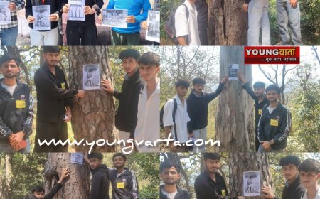 वनों को बचने की एबीवीपी की अनोखी पहल , पेड़ों पर चिपकाए वन संरक्षण के पोस्टर, शिलाई में हुए पेड़ों के कटान पर जताई चिंता