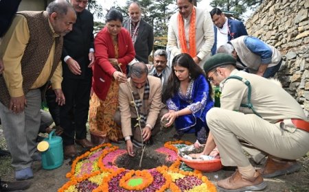 मुख्यमंत्री ने प्रदेशवासियों के साथ मनाया 62वां जन्मदिवस,चिनार का पौधा रोपित कर हरित पहल को दिया बढ़ावा