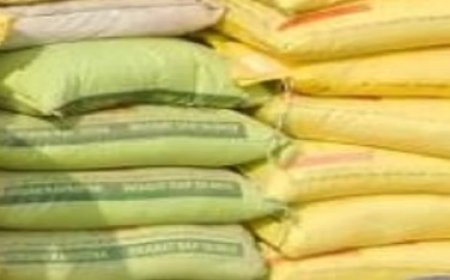 एशिया युद्ध का असर : प्रदेश में रबी और सेब सीजन के बीच यूरिया खाद का संकट 