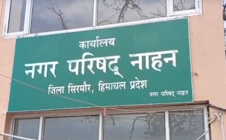 सिरमौर में नगर निकायों चुनावों को लेकर चुनाव आयोग के आदेशों के बाद महिलाओं के लिए वार्ड आरक्षित 