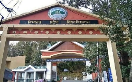एचपीयू शिमला जल्द ही खाली पड़े गैर-शिक्षकों के पदों को भरने के लिए प्रस्ताव तैयार कर सरकार को भेजेगा 