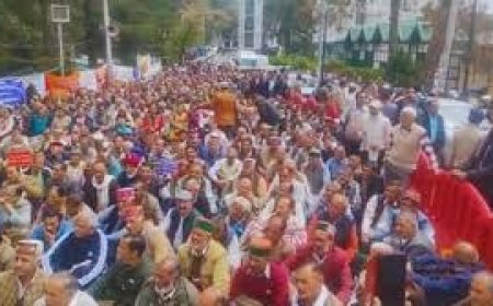 शिमला के चौड़ा मैदान में प्रदेशभर के पेंशनरों ने दिया धरना प्रदर्शन, प्रदेश सरकार के खिलाफ जमकर की नारेबाजी 