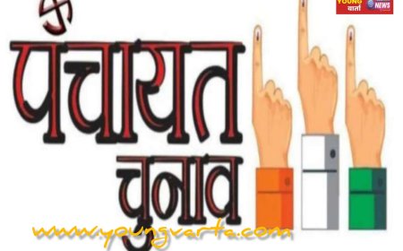 31 मार्च तक पंचायतीराज चुनाव का आरक्षण रोस्टर जमा करवाएं डीसी , सरकार ने सभी उपायुक्तों को दिए निर्देश