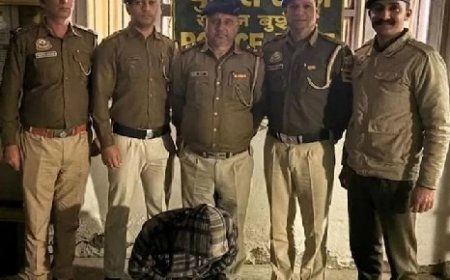 शिमला में शराब पीने के बाद पुरानी रंजिश में छोटे भाई ने बड़े भाई की हत्या 