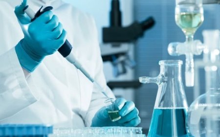 प्रदेश की एकमात्र कंडाघाट स्थित सीटीएल लैब की जांच रिपोर्ट अब पूरे देश में होगी मान्य  