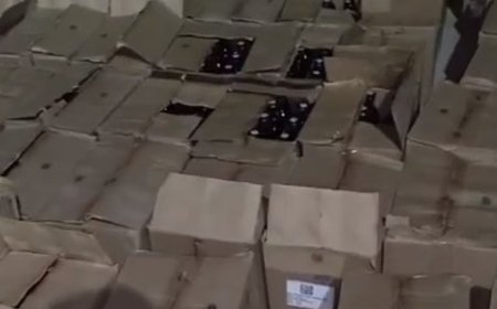 कांगड़ा पुलिस की शराब माफिया पर बड़ी कार्रवाई, पुलिस ने पकड़ी 149 पेटी अवैध देशी शराब 