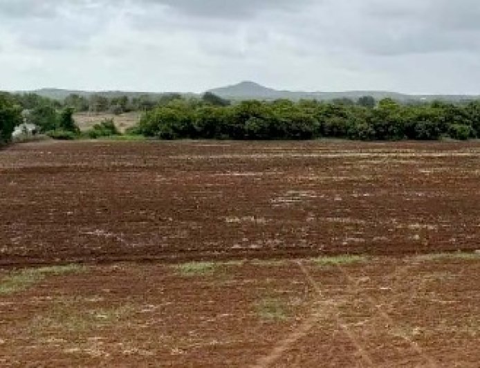 जमीनी सौंदों की जांच के लिए पुलिस की एसआईटी ने राजस्व विभाग से मांगा रिकॉर्ड  