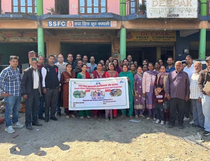 मंडी में एसएचईपी पद्धति के तहत एक दिवसीय बाजार सर्वेक्षण आयोजित