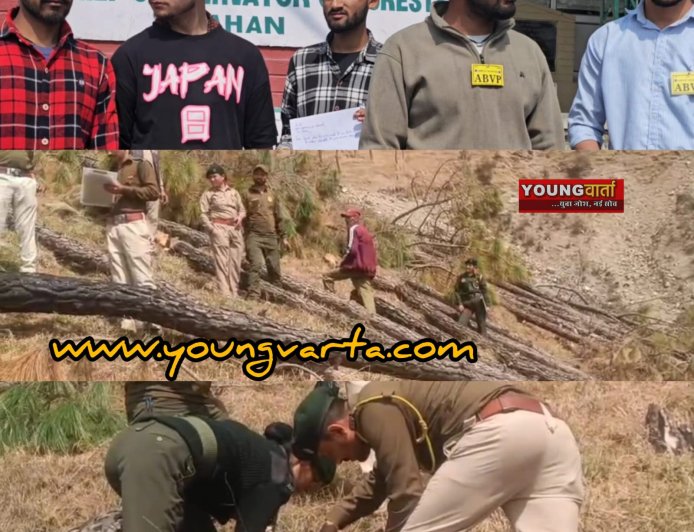 शिलाई में हुए अवैध पेड़ कटान मामले की हो उच्च स्तरीय जांच , एबीवीपी ने अरण्यपाल को सौंपा माँग पत्र 