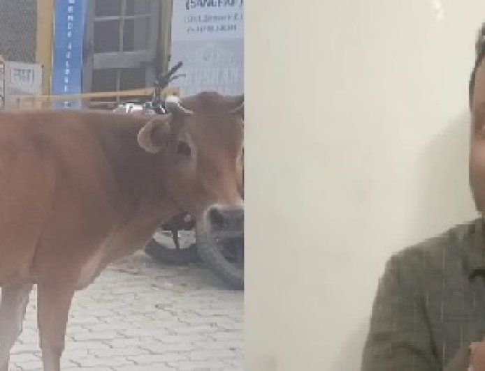 गौ माता को न्याय दिलाने के लिए हाईकोर्ट पहुंचे सतयुग तीर्थ रेणुकाजी के राजेंद्र सिंह