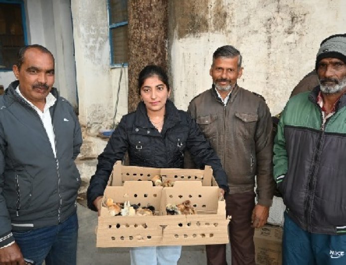 घर बैठे रोजगार का सशक्त माध्यम बनी प्रदेश सरकार की बैकयार्ड पोल्ट्री स्कीम