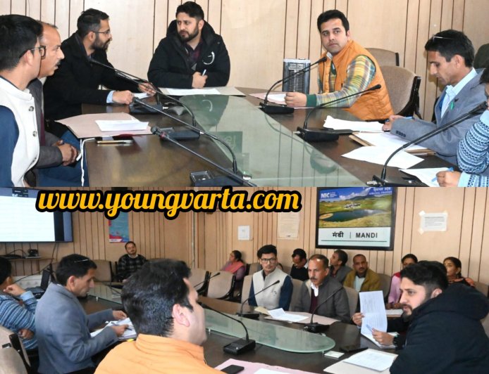 एफसीए मामलों के शीघ्र निपटाएं अधिकारी, अभी तक 30 प्रस्तावों को मिल चुकी है अंतिम स्वीकृति : डीसी 