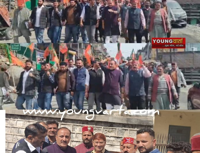 शिलाई अवैध पेड़ कटान के खिलाफ सड़कों पर उतरी भाजपा , एसडीएम की मार्फ़त  राज्यपाल को भेजा ज्ञापन 