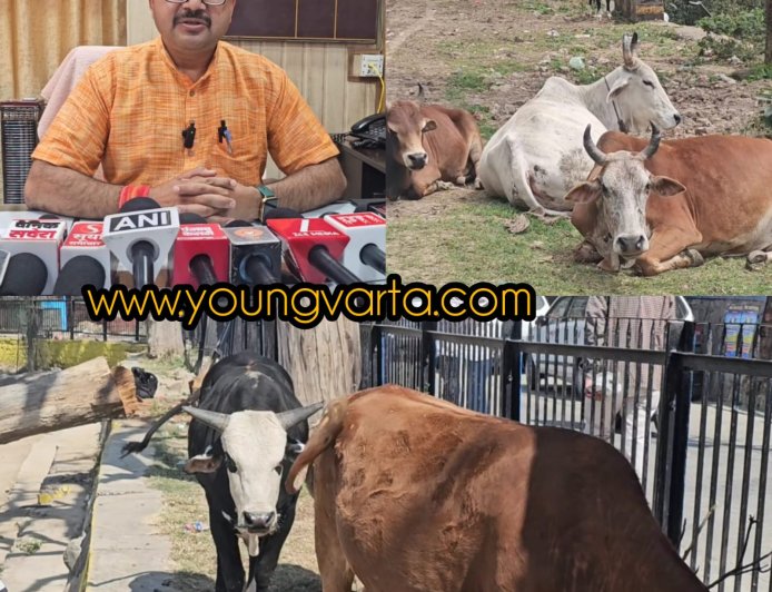 सड़कों पर पशु छोड़ने वालों के खिलाफ सख्ती से निपटने की तैयारी , मालिकों खिलाफ दर्ज होगी एफआईआर 
