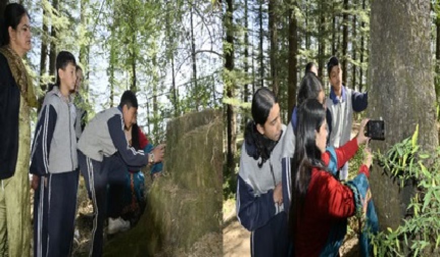 शिमला का एक छोटा सा कस्बा चियोग इन दिनों पूरे प्रदेश में बना चर्चा का केंद्र जानिए कैसे 