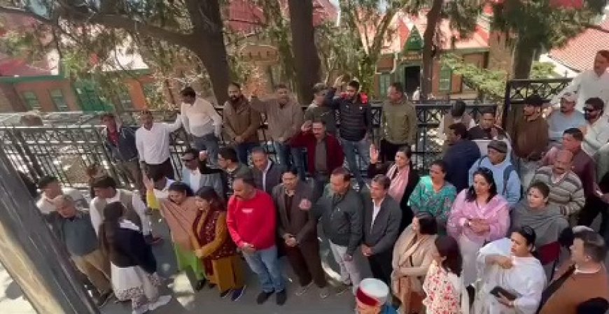 एमसी शिमला के मेयर सुरेंद्र चौहान के ख़िलाफ भाजपा का प्रदर्शन, पार्षद बिट्टू कुमार से बदसलूकी का आरोप