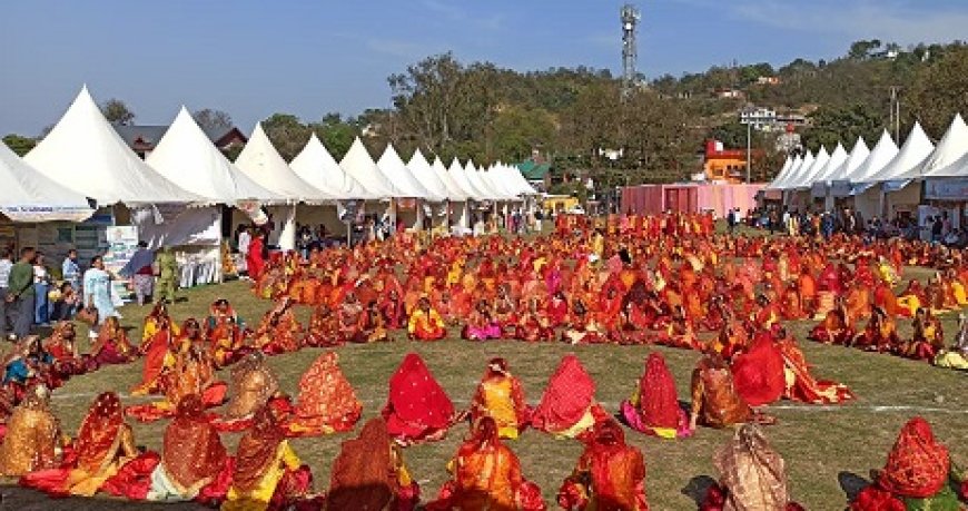 होली उत्सव में दिख रही हमीरपुर की लोक संस्कृति की शानदार झलक