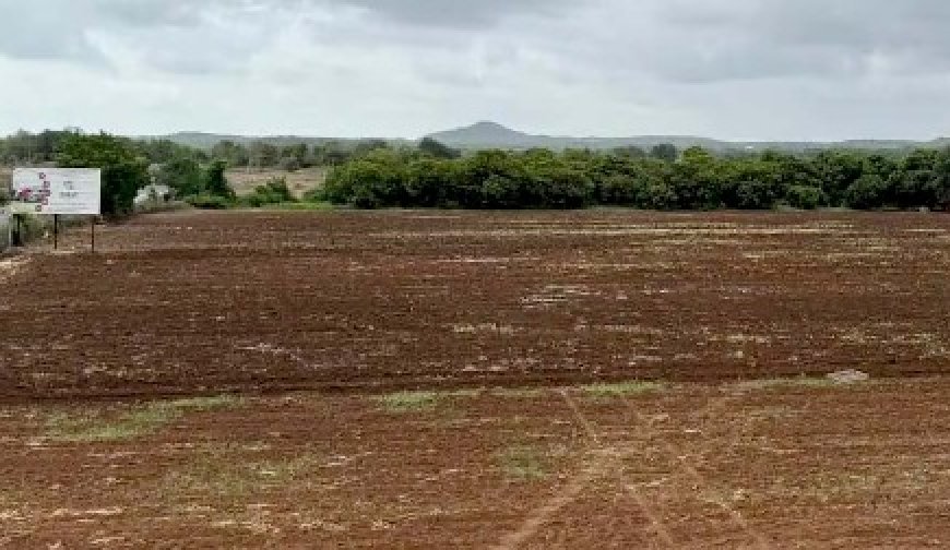 जमीनी सौंदों की जांच के लिए पुलिस की एसआईटी ने राजस्व विभाग से मांगा रिकॉर्ड  