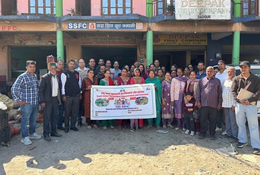 मंडी में एसएचईपी पद्धति के तहत एक दिवसीय बाजार सर्वेक्षण आयोजित