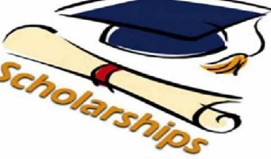 नेशनल मींस कम मेरिट स्कॉलरशिप परीक्षा का परिणाम घोषित,प्रदेश के 832 विद्यार्थियों का चयन 