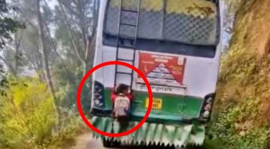 मंडी में सरकारी स्कूल का एक बच्चा एचआरटीसी बस के पीछे सीढ़ी पर लटककर करता सफर,वीडियो वायरल