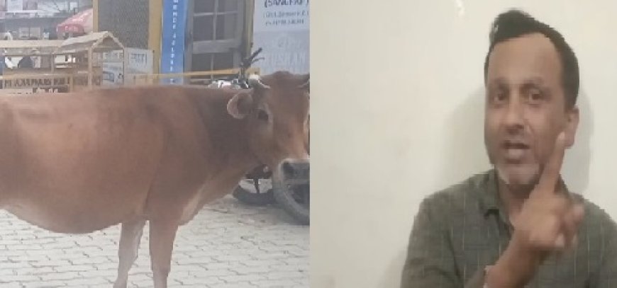 गौ माता को न्याय दिलाने के लिए हाईकोर्ट पहुंचे सतयुग तीर्थ रेणुकाजी के राजेंद्र सिंह