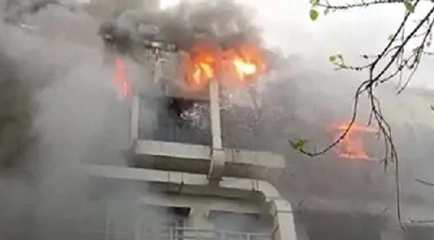 नोएडा में बिजली मीटर बनाने वाली कंपनी में भड़की आग, हादसे में करीब 24 कर्मचारी घायल