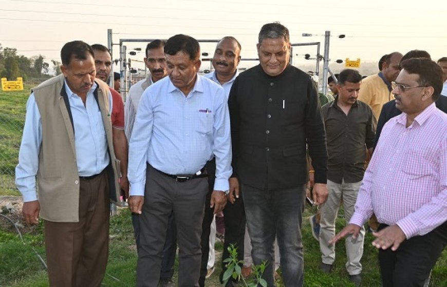 राज्य में बागवानी को नई दिशा दे रही एचपी शिवा परियोजना : जगत सिंह नेगी