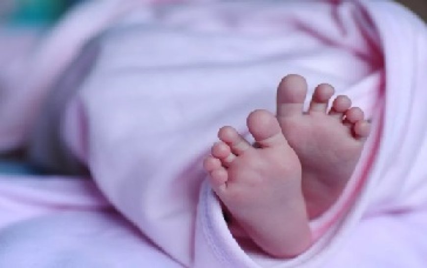 एचआरटीसी की चलती बस में एक गर्भवती महिला ने स्वस्थ बच्चे को दिया जन्म