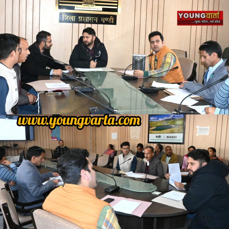 एफसीए मामलों के शीघ्र निपटाएं अधिकारी, अभी तक 30 प्रस्तावों को मिल चुकी है अंतिम स्वीकृति : डीसी 